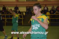 alexandriamou_gas_pasket030057