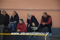 alexandriamou_gas_pasket030066