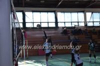 alexandriamou_gas_volei170026