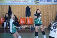 alexandriamou_gas_volei170052