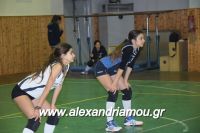 alexandriamou_gas_volei0015