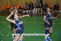 alexandriamou_gas_volei0024