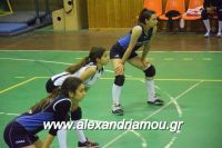 alexandriamou_gas_volei0031