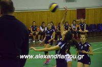 alexandriamou_gas_volei0033