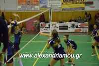 alexandriamou_gas_volei0043