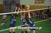 alexandriamou_gas_volei0056