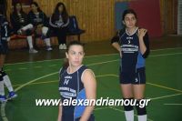 alexandriamou_gas_volei0059