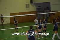 alexandriamou_gas_volei0081