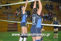 alexandriamou_gas_volei0095