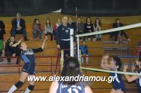 alexandriamou_gas_volei0096