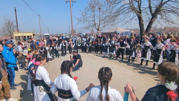 PXL_20260315_093911531