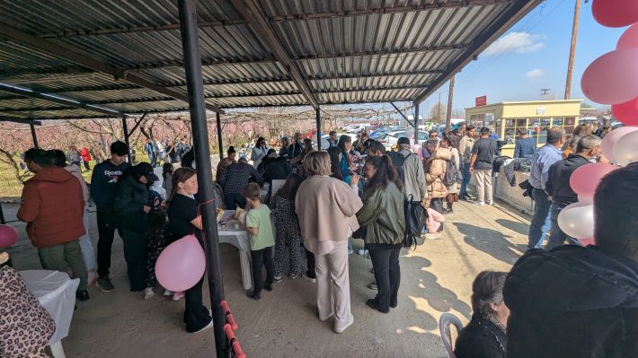 PXL_20260315_100435546.MP