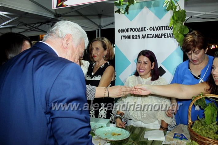 alexandriamou_giorthpitas2023IMG_7781