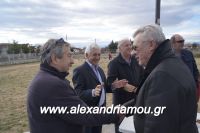 alexandriamou_goyroynoxara_palaioxori0049