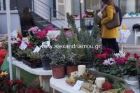 alexandriamou_2gumnasio0136