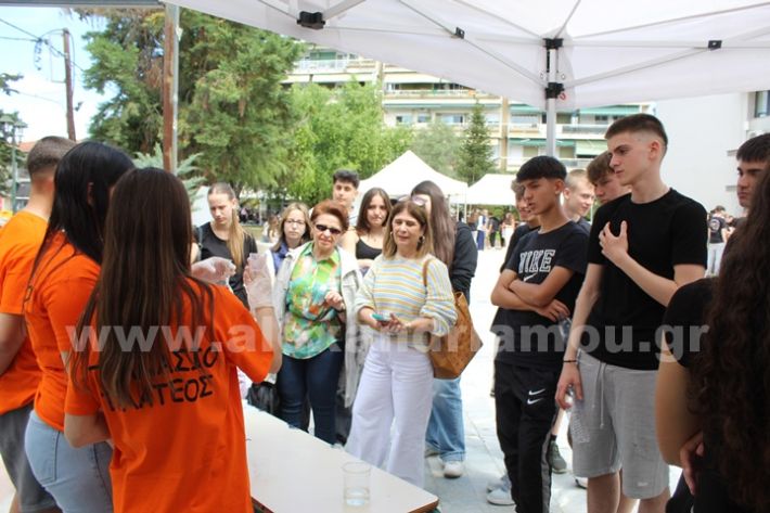 www.alexandriamou.gr_gumnasio_plateos_pnevmatiko9.5IMG_9620