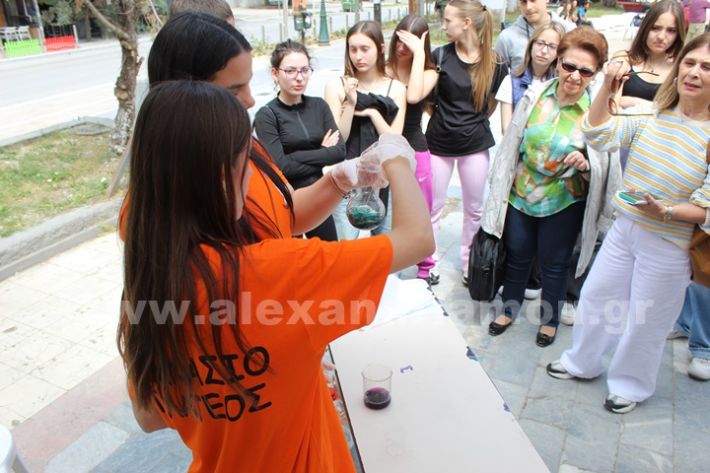 www.alexandriamou.gr_gumnasio_plateos_pnevmatiko9.5IMG_9621