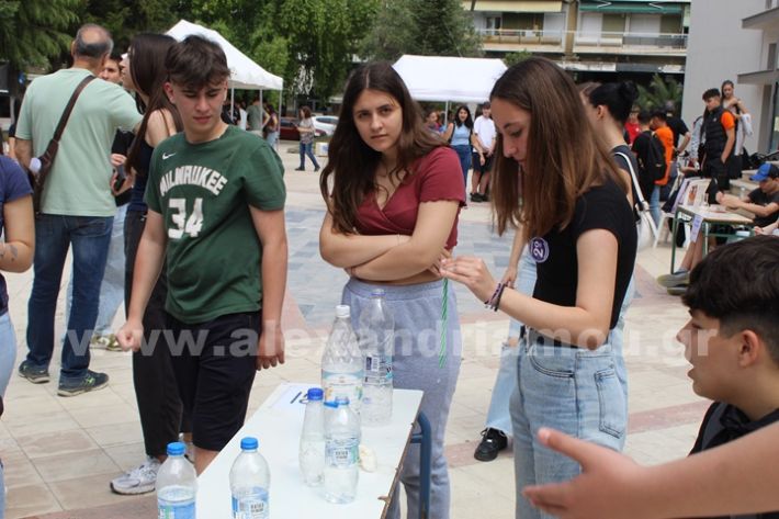 www.alexandriamou.gr_gumnasio_plateos_pnevmatiko9.5IMG_9626