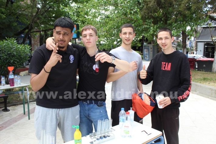 www.alexandriamou.gr_gumnasio_plateos_pnevmatiko9.5IMG_9629