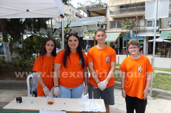 www.alexandriamou.gr_gumnasio_plateos_pnevmatiko9.5IMG_9651