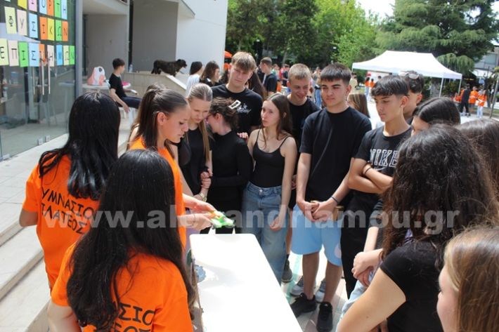 www.alexandriamou.gr_gumnasio_plateos_pnevmatiko9.5IMG_9653
