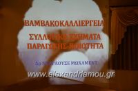 alexandriamou_hmerida_bambaki01
