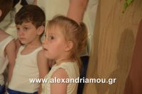 alexandriamou_ioulia20160025