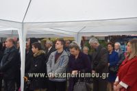 alexandriamou_iroo_28.10.160066