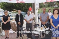 alexandriamou_kafe_apola_21