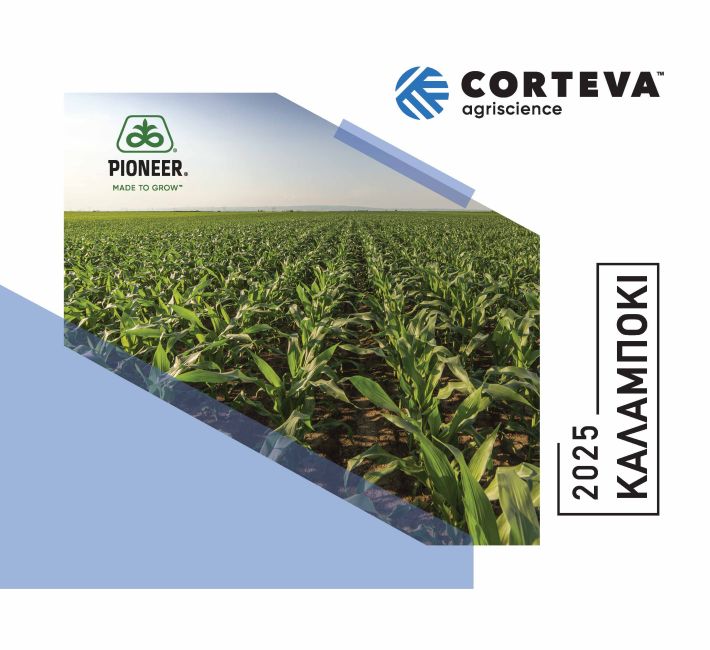 Big_Corn_Catalog_FINAL_08.01_Page_01