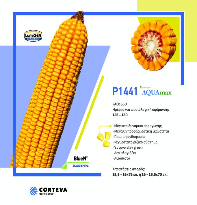 Big_Corn_Catalog_FINAL_08.01_Page_10