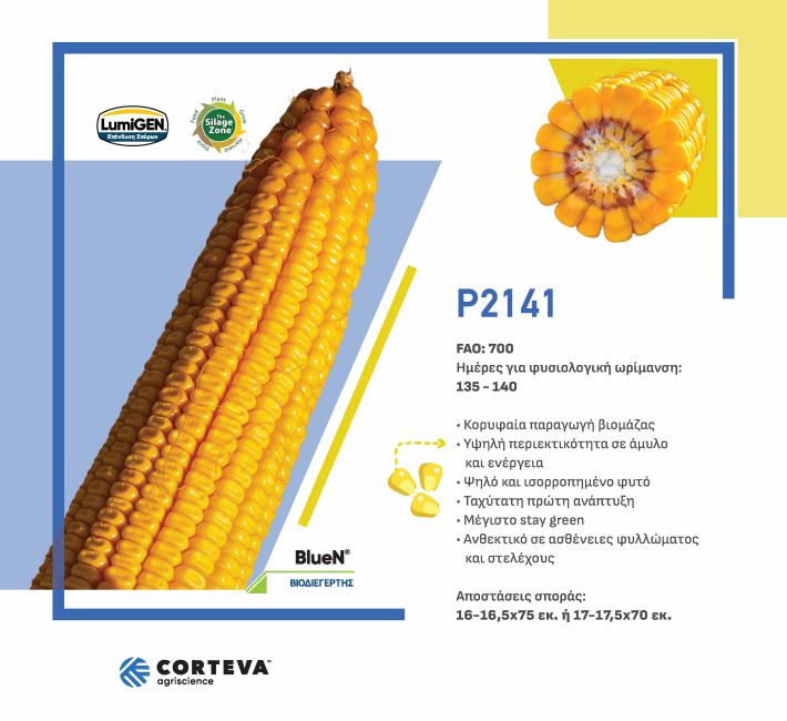 Big_Corn_Catalog_FINAL_08.01_Page_22