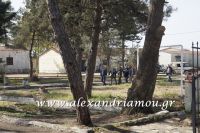 alexandriamou_kalaitzidhs0001