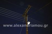 _DSC0442