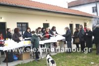 alexandriamou_kampoxori_groynoxara34