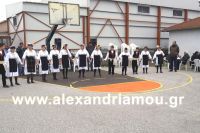 alexandriamou_kampoxori_groynoxara60
