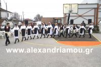 alexandriamou_kampoxori_groynoxara62