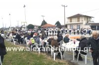 alexandriamou_kampoxori_groynoxara63