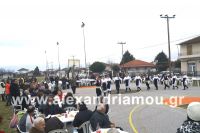 alexandriamou_kampoxori_groynoxara65