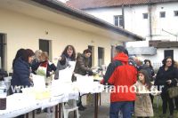 alexandriamou_kampoxori_groynoxara69