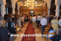 alexandriamou_kampoxori_per2016DSC_0488