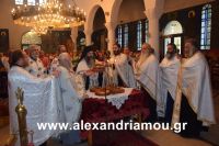 alexandriamou_kampoxori_per2016DSC_0491