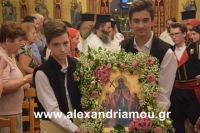 alexandriamou_kampoxori_per2016DSC_0526