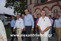 alexandriamou_kampoxori_per2016DSC_0537