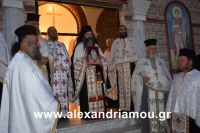 alexandriamou_kampoxori_per2016DSC_0556