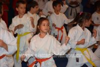 alexandriamou_karate_papa0063