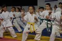 alexandriamou_karate_papadopoulos046