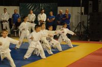 alexandriamou_karate_papadopoulos059