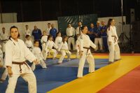 alexandriamou_karate_papadopoulos075