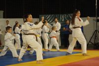 alexandriamou_karate_papadopoulos079